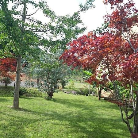 Istanti - Salvia Apartment Costigliole Saluzzo ภายนอก รูปภาพ
