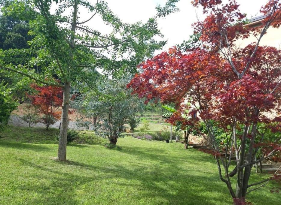 Istanti - Salvia Apartment Costigliole Saluzzo ภายนอก รูปภาพ