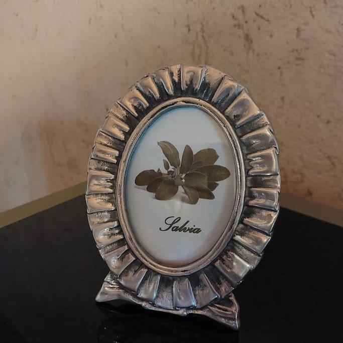 Istanti - Salvia Apartment Costigliole Saluzzo ภายนอก รูปภาพ